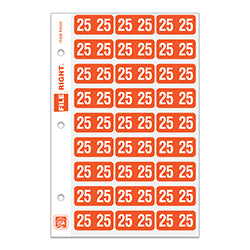 File Right™ Year Labels (Ringbooks)